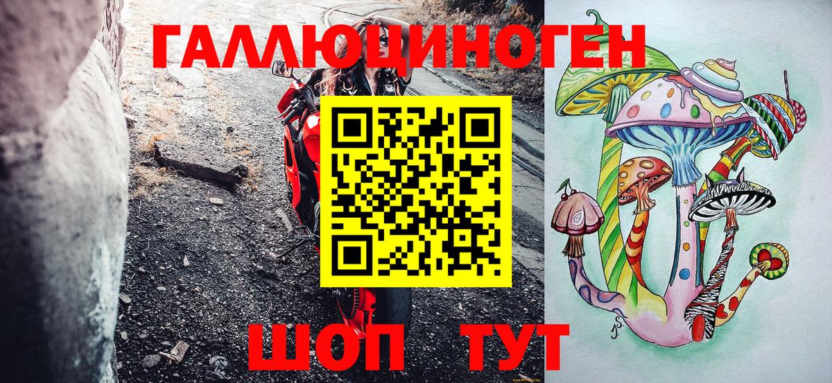 Новосибирск  Галлюциногенные грибы мухоморы  Вход с VPN  Галлюциногенные грибы прущие грибы 
