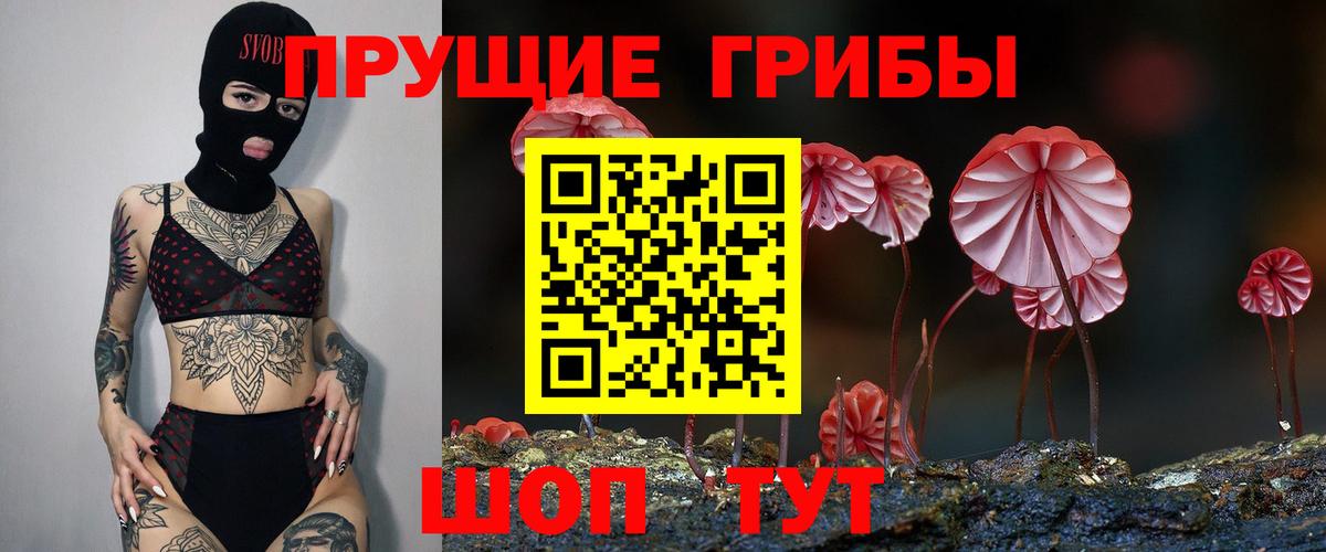 Галлюциногенные грибы Psilocybine cubensis Новосибирск